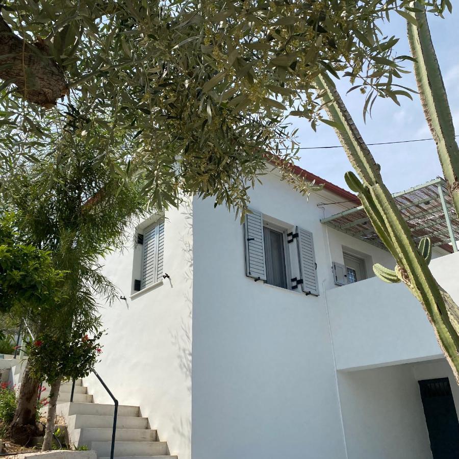 Tolón Casa Olive 빌라 외부 사진